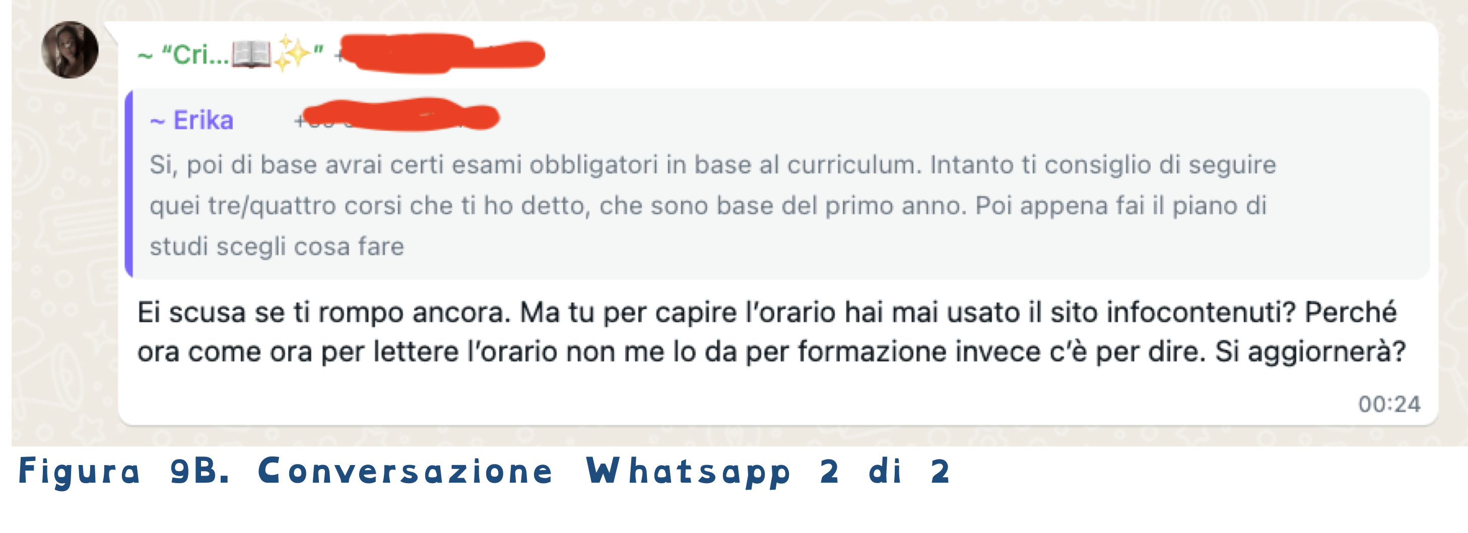 Figura 9B. Conversazione Whatsapp 2 di 2